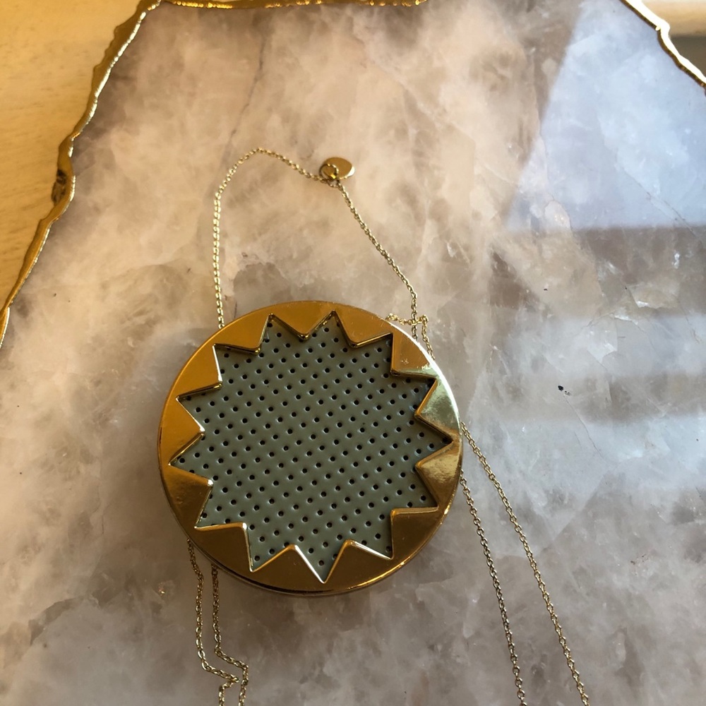 House of Harlow Statement Necklace
